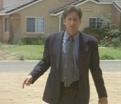 mulder005.jpg